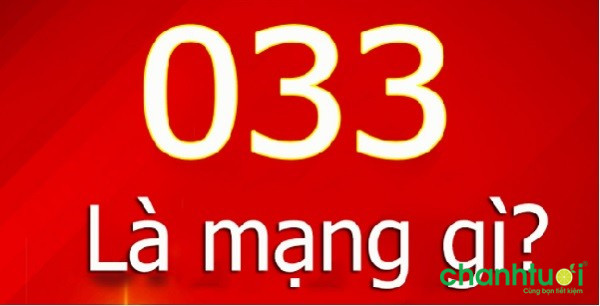 033 là mạng gì? Những ý nghĩa đặc biệt của đầu sô 033 mà bạn