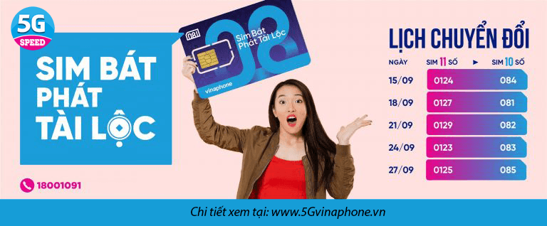 Đầu số 081, 082, 083, 084, 085, 088 là của mạng nào?