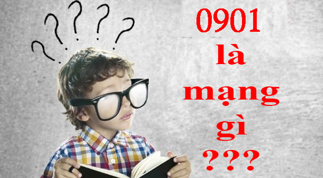 0901 là mạng gì? Hướng dẫn mua sim số đẹp 0901 online không