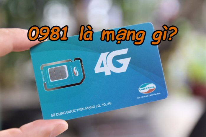 Hỏi đáp: Đầu số 0981 là mạng gì?có từ khi nào? - Sim Thành Công