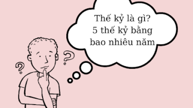 5 Thế Kỷ bằng Bao Nhiêu Năm và Cách Tính Thế Kỷ Đơn Giản Nhất