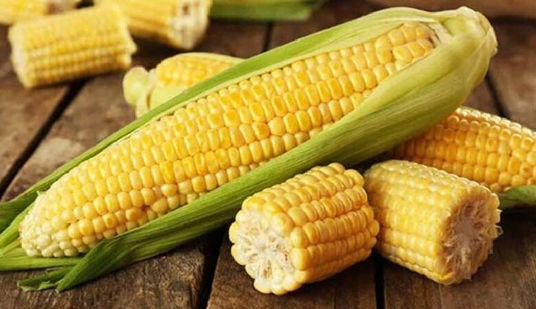 Bắp bao nhiêu calo? Ăn nhiều có giảm cân không? - Bách hóa XANH