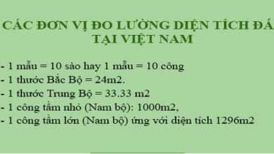 1 công đất là bao nhiêu m2: Bạn đã biết câu trả lời chính xác chưa