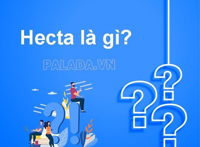 1 ha bằng bao nhiêu m2? Bao nhiêu sào, công và mẫu đất?