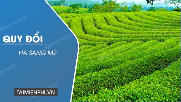 Đổi 1 ha bằng bao nhiêu m2, đổi hecta sang mét vuông, km2 vuông