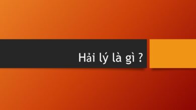 1 Hải Lý Bằng Bao Nhiêu? Tại Sao Phải Dùng Đơn Vị Hải Lý?