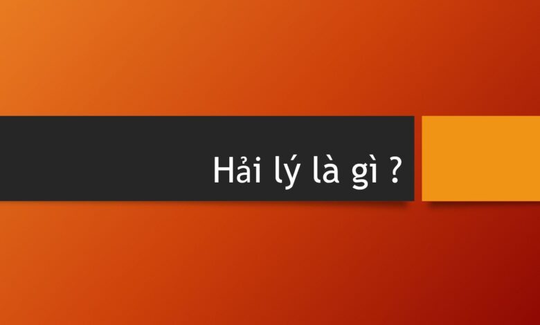 1 Hải Lý Bằng Bao Nhiêu? Tại Sao Phải Dùng Đơn Vị Hải Lý?