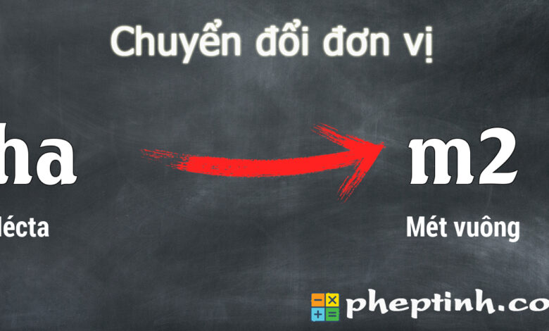 Chuyển đổi Hécta (ha) sang Mét vuông (m2) | 1ha bằng bao nhiêu