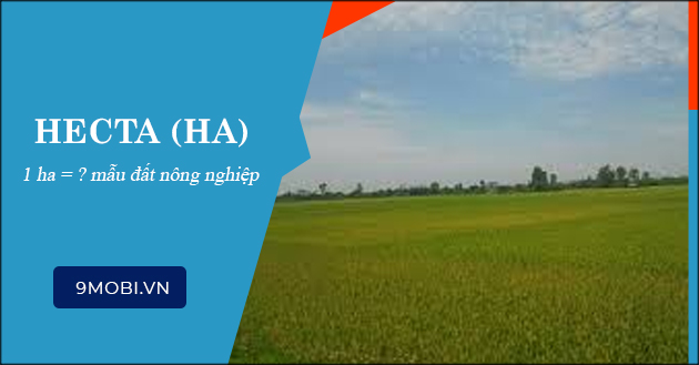 1 ha bằng bao nhiêu mẫu