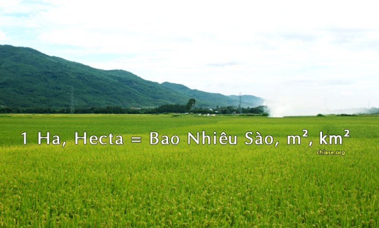 1 ha bằng bao nhiêu mét vuông? Cách quy đổi đơn vị siêu dễ