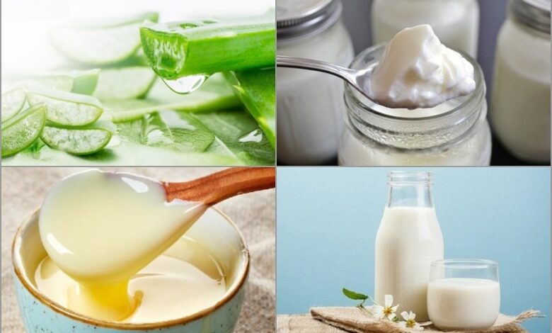 Sữa chua không đường bao nhiêu calo? Uống có béo không?
