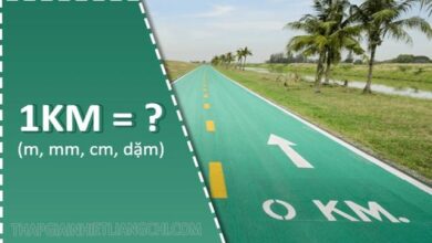 Quy đổi 1km bằng bao nhiêu m, dm, cm? (1km=m)