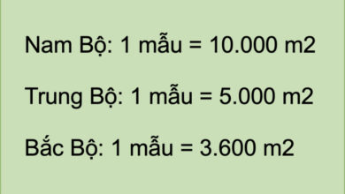 1 mẫu bằng bao nhiêu sào? 1 mẫu bằng bao nhiêu ha?