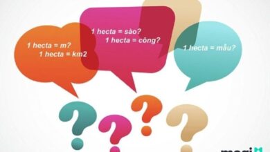 1 mẫu đất bao nhiêu m2? Cách quy đổi chuẩn xác nhất - Mogi.vn