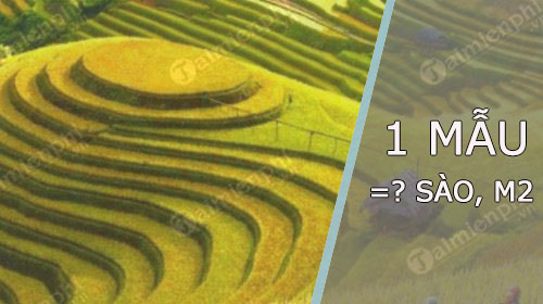 1 Mẫu bằng bao nhiêu sào, bao nhiêu Mét vuông? Bắc, Trung, Nam