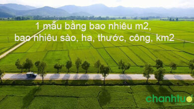 1 mẫu bằng bao nhiêu m2, bao nhiêu sào, bao nhiêu ha?