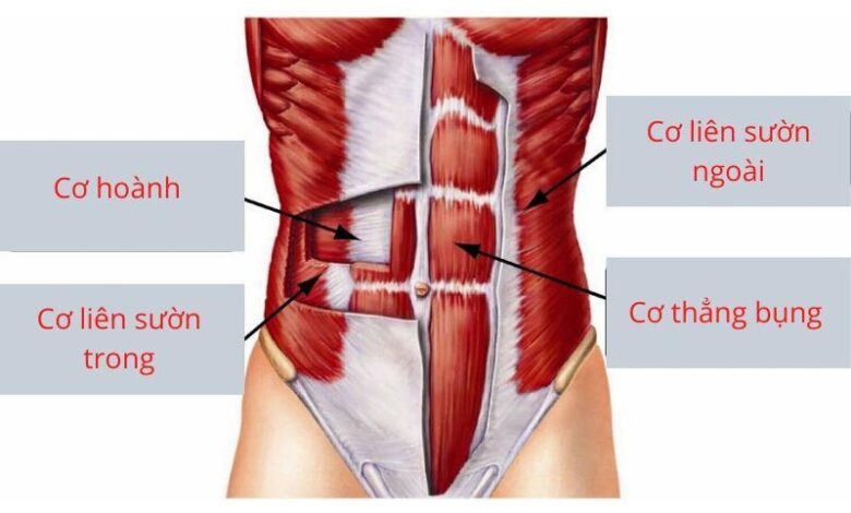 1 phút plank bằng 1000 cái gập bụng nhưng chắc chắn còn bí mật