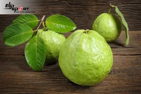 1 quả ổi bao nhiêu calo? Ăn ổi có giảm cân được không? - Elipsport