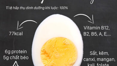 1 quả trứng chứa bao nhiêu protein? Ăn bao nhiêu là đủ? - Toshiko