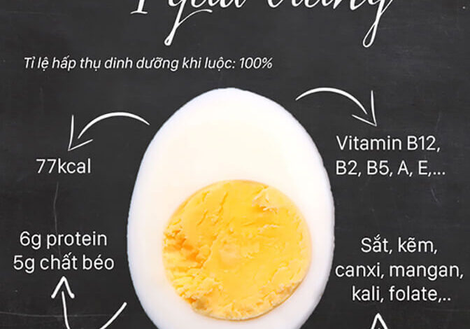 1 quả trứng chứa bao nhiêu protein? Ăn bao nhiêu là đủ? - Toshiko