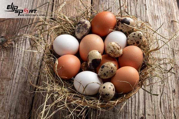 1 quả trứng bao nhiêu gam? Lượng protein trong trứng? - Elipsport