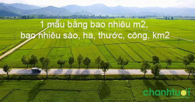 1 mẫu bằng bao nhiêu m2, bao nhiêu sào, bao nhiêu ha?