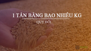 1 tấn bằng bao nhiêu kg? Cách đổi Tấn sang tạ, yến, kg