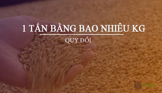 1 tấn bằng bao nhiêu kg? Cách đổi Tấn sang tạ, yến, kg