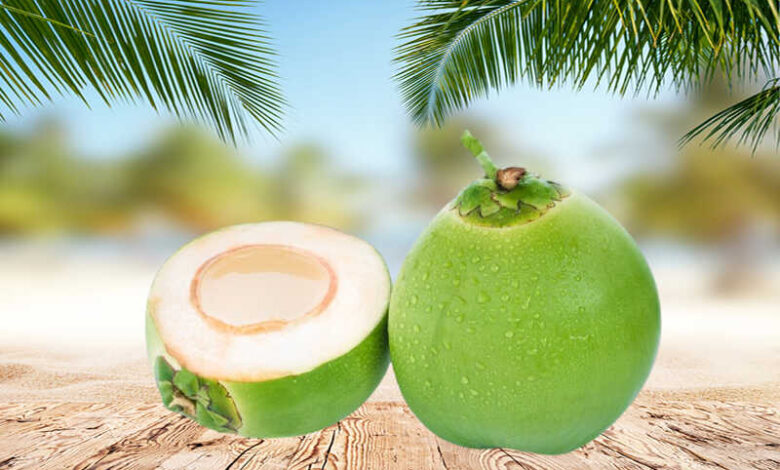 Nước dừa - Thức uống tuyệt vời cho sức khỏe và giảm cân