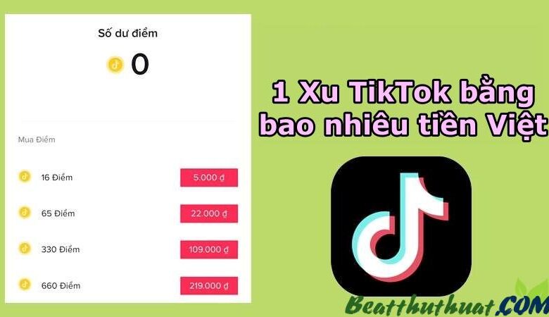 1 xu Tiktok bằng bao nhiêu tiền Việt? Bao nhiêu kim cương?