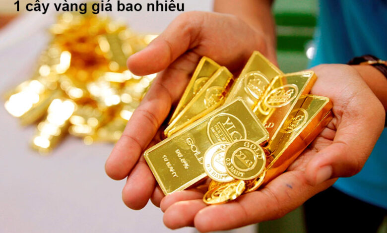 1 cây vàng giá bao nhiêu tiền VND, bao nhiêu chỉ?