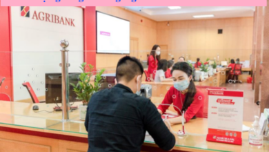 50, 100 Triệu Gửi Ngân Hàng Agribank Lãi Bao Nhiêu 4/2023