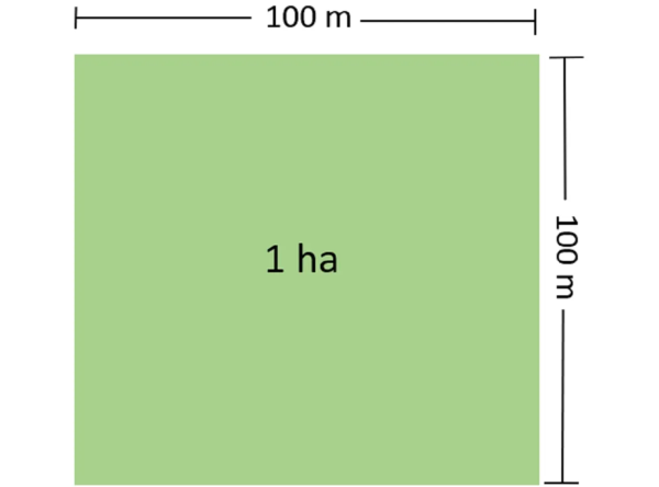 1000m2 bằng bao nhiêu ha - Quy chuẩn đo lường địa chất - VTKONG
