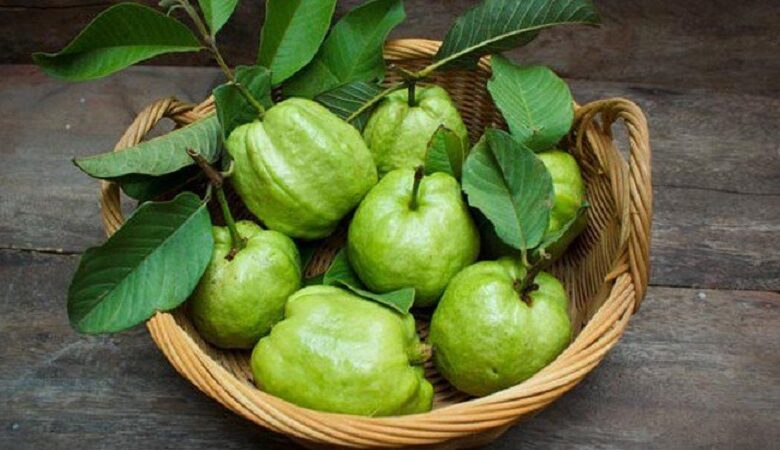1 quả ổi bao nhiêu calo? Ăn ổi có giảm cân không? - Bách hóa XANH