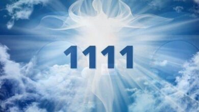 Ý Nghĩa 1111 Là Gì? Những điều Bạn Cần Biết Về Con Số 1111?