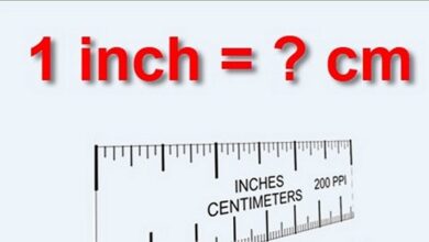 12 inch bằng bao nhiêu cm ? - StudyTiengAnh