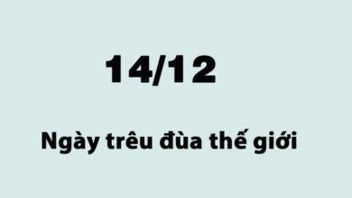 Ngày 14/12 là ngày gì? Ngày 14/12 là ngày gì đối với LGBT?