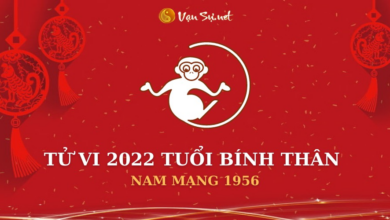 Tử Vi Tuổi Bính Thân Năm 2022 - Nam Mạng 1956 Chi Tiết
