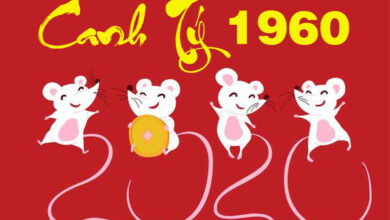 Sinh Năm 1960 Mệnh gì? Tuổi Canh Tý Hợp tuổi nào & Màu gì?