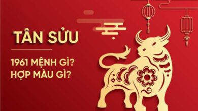 Sinh năm 1961 Mệnh gì? Tuổi Tân Sửu Hợp Tuổi nào & Màu gì?