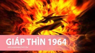 [Giáp Thìn 1964] Sinh năm 1964 mệnh gì tuổi con gì bao nhiêu tuổi