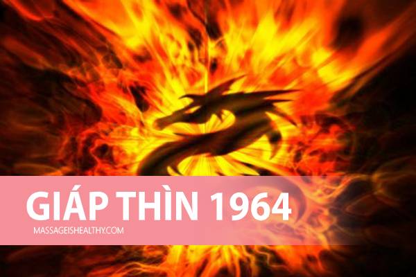 [Giáp Thìn 1964] Sinh năm 1964 mệnh gì tuổi con gì bao nhiêu tuổi