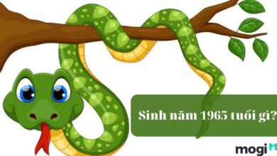 1965 Tuổi Gì? Luận Đoán Vận Mệnh Của Người Sinh Năm 1965