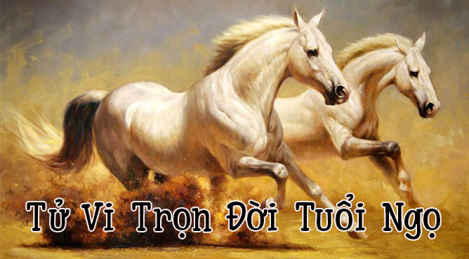 Sinh năm 1978 năm nay bao nhiêu tuổi - Thiên Tuệ