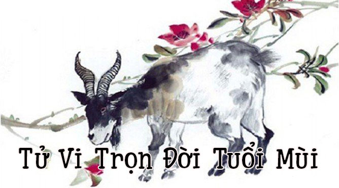 Sinh năm 1979 năm nay bao nhiêu tuổi - Thiên Tuệ