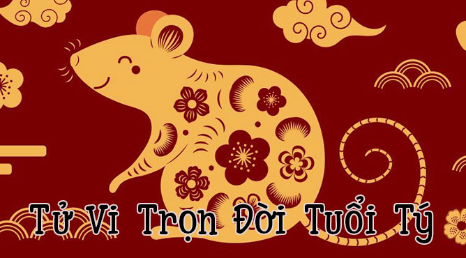 Sinh năm 1996 năm nay bao nhiêu tuổi - Thiên Tuệ
