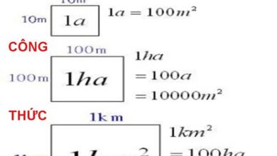 1ha bằng bao nhiêu m2 ? quy đổi 1ha = công, mẫu, km2 - ABC.VN