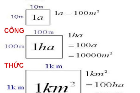 1ha bằng bao nhiêu m2 ? quy đổi 1ha = công, mẫu, km2 - ABC.VN