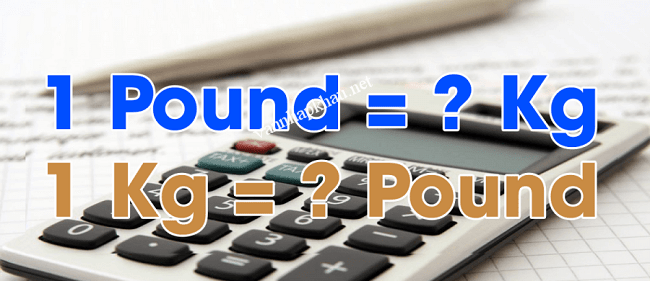 Quy đổi 1 POUND Bằng Bao Nhiêu KG ? | Van Nhập Khẩu