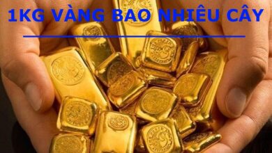 1Kg Vàng Bằng Bao Nhiêu Cây Vàng? Giá 1 Cây Vàng Hôm Nay